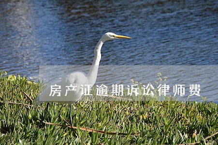 房产证逾期诉讼律师费 房产证逾期诉讼律师费