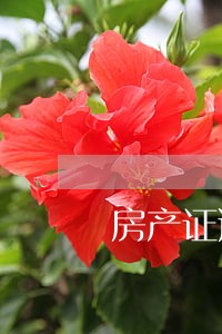 房产证逾期违约金每天1元 房产证逾期违约金每天1元