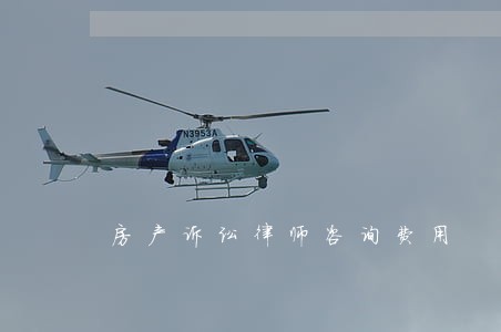 房产诉讼律师咨询费用 房产诉讼律师咨询费用