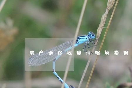 房产诉讼找律师服务费用 房产诉讼找律师服务费用
