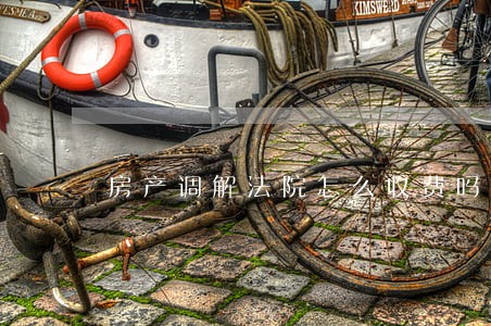 房产调解法院怎么收费吗