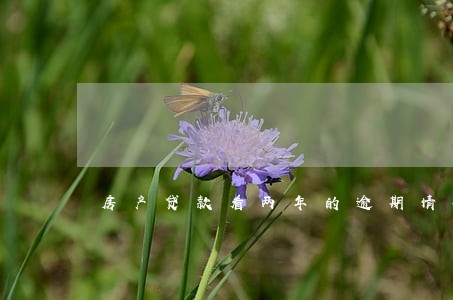 房产贷款看两年的逾期情况 房产贷款看两年的逾期情况