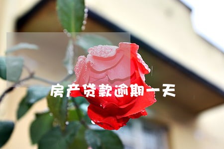 房产贷款逾期一天 房产贷款逾期一天