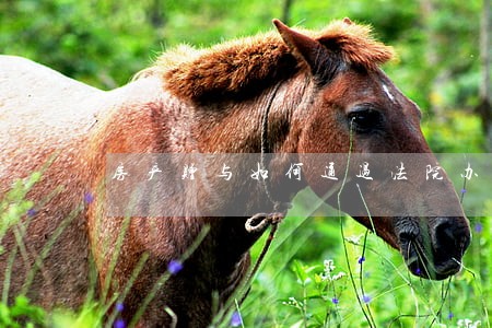 房产赠与如何通过法院办理 房产赠与如何通过法院办理