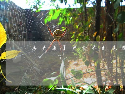 房产过了户拿不到尾款法院怎么判 房产过了户拿不到尾款法院怎么判