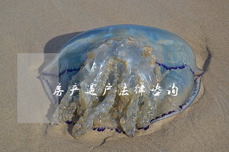 房产过户法律咨询 房产过户法律咨询