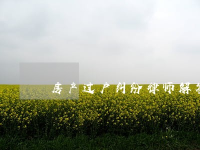 房产过户纠纷律师解答 房产过户纠纷律师解答