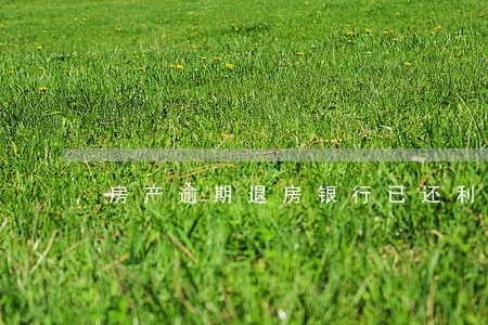 房产逾期退房银行已还利息