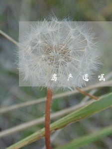 房产遗嘱去法院办理