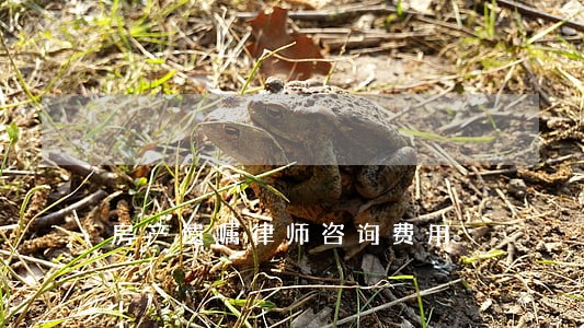 房产遗嘱律师咨询费用 房产遗嘱律师咨询费用