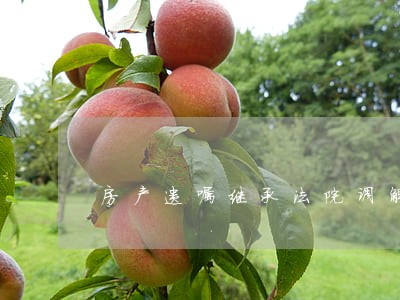 房产遗嘱继承法院调解如何收费 房产遗嘱继承法院调解如何收费