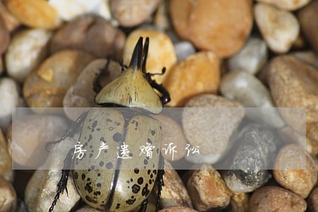 房产遗赠诉讼