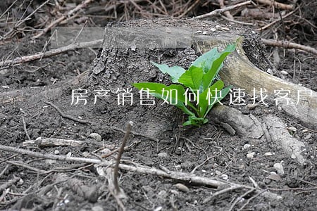 房产销售如何快速找客户 房产销售如何快速找客户
