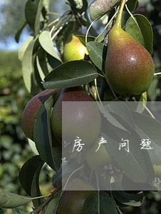 房产问题法律咨询免费 房产问题法律咨询免费