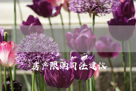 房产限购司法建议 房产限购司法建议