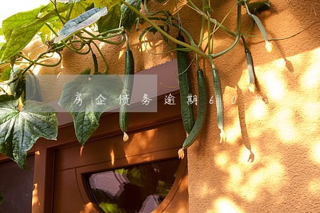 房企债务逾期60亿 房企债务逾期60亿