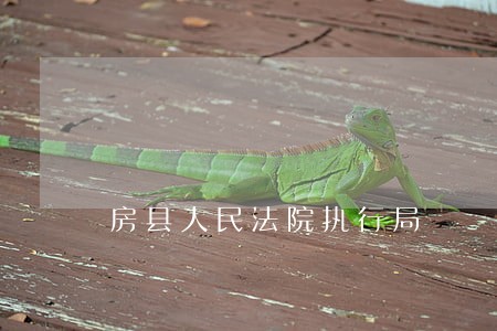 房县人民法院执行局 房县人民法院执行局