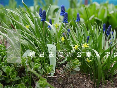 房县法院办公室文字综合岗 房县法院办公室文字综合岗