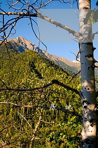 房地产业律师问题 房地产业律师问题
