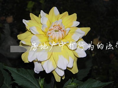 房地产中介行为的法律规制研究 房地产中介行为的法律规制研究