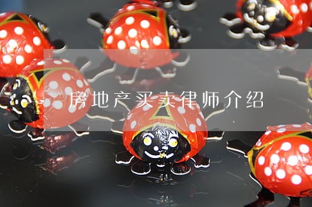 房地产买卖律师介绍 房地产买卖律师介绍
