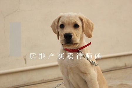 房地产买卖律师函 房地产买卖律师函
