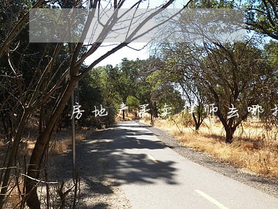 房地产买卖律师去哪找 房地产买卖律师去哪找