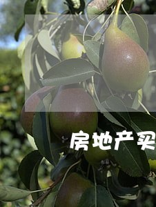 房地产买卖律师热线 房地产买卖律师热线