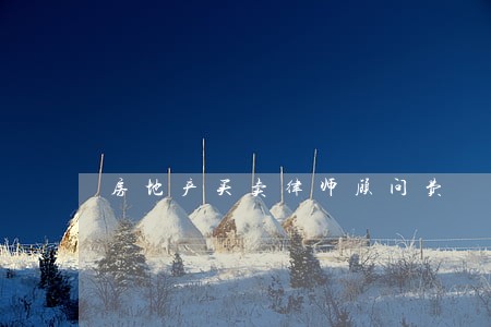 房地产买卖律师顾问费 房地产买卖律师顾问费