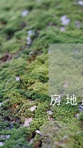 房地产买卖纠纷律师哪家不错 房地产买卖纠纷律师哪家不错