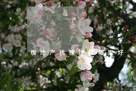 房地产代理律师哪家好 房地产代理律师哪家好