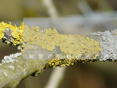 房地产价格违法广西专项 房地产价格违法广西专项