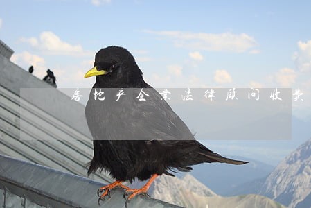 房地产企业法律顾问收费 房地产企业法律顾问收费