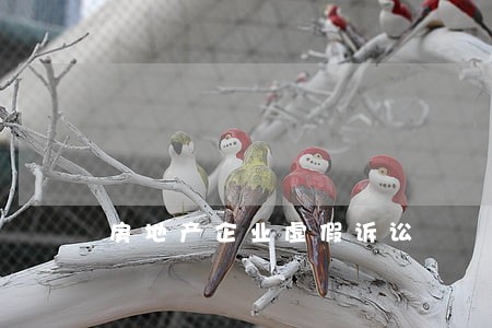 房地产企业虚假诉讼