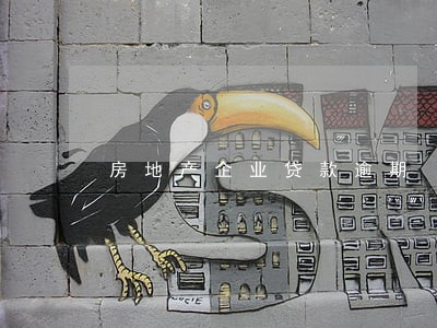 房地产企业贷款逾期 房地产企业贷款逾期