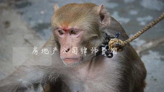 房地产公司律师费用