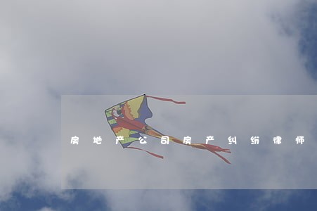 房地产公司房产纠纷律师 房地产公司房产纠纷律师