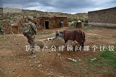 房地产公律顾问哪个比较擅长 房地产公律顾问哪个比较擅长