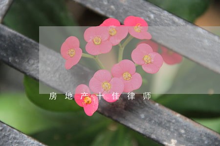 房地产十佳律师