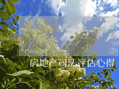 房地产司法评估心得 房地产司法评估心得