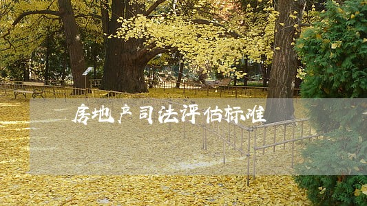 房地产司法评估标准 房地产司法评估标准