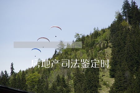 房地产司法鉴定时 房地产司法鉴定时