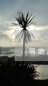 房地产商务律师干什么 房地产商务律师干什么
