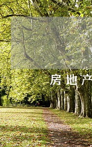 房地产商要求交律师费 房地产商要求交律师费