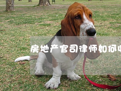 房地产官司律师如何收费 房地产官司律师如何收费