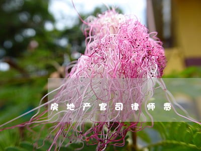 房地产官司律师费 房地产官司律师费