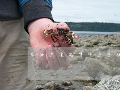 房地产建筑律师业务领域 房地产建筑律师业务领域