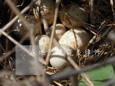 房地产建筑类律师 房地产建筑类律师