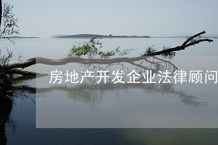 房地产开发企业法律顾问 房地产开发企业法律顾问
