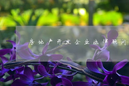房地产开发企业法律顾问协议 房地产开发企业法律顾问协议